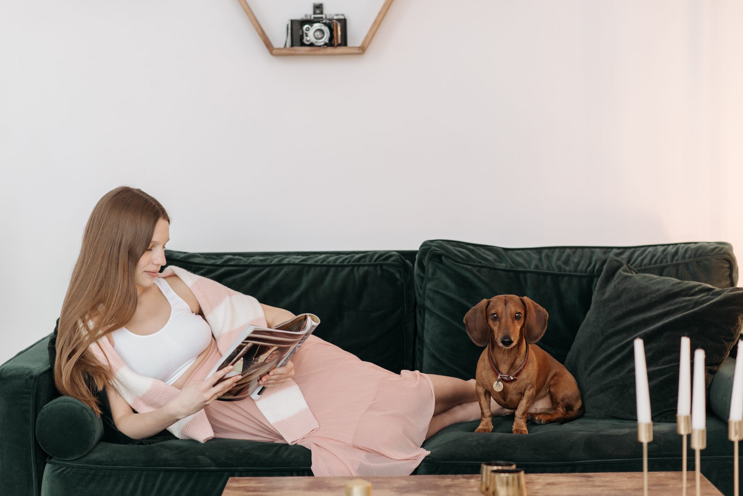 Should Landlords Allow Pets? A Guide for Tucson Rental Property Owners